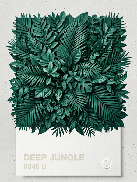 Malibu Mood Bikini Bottoms – Deep Jungle