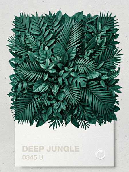 Malibu Mood Bikini Bottoms – Deep Jungle